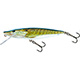 Salmo Jointed Pike
